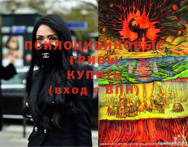 мет Алексин