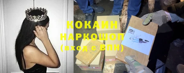 шишки Алексеевка