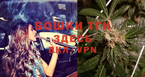шишки Алексеевка